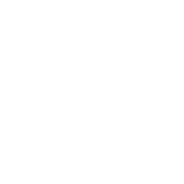 The Spot