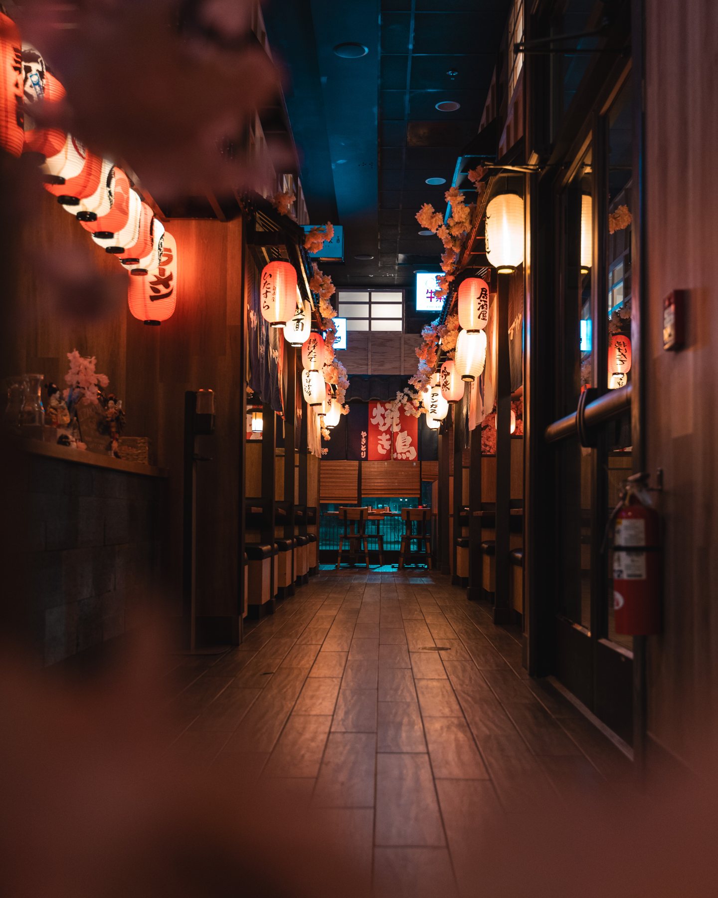 Un pasillo de faroles de papel encendidos dentro de Izakaya 68