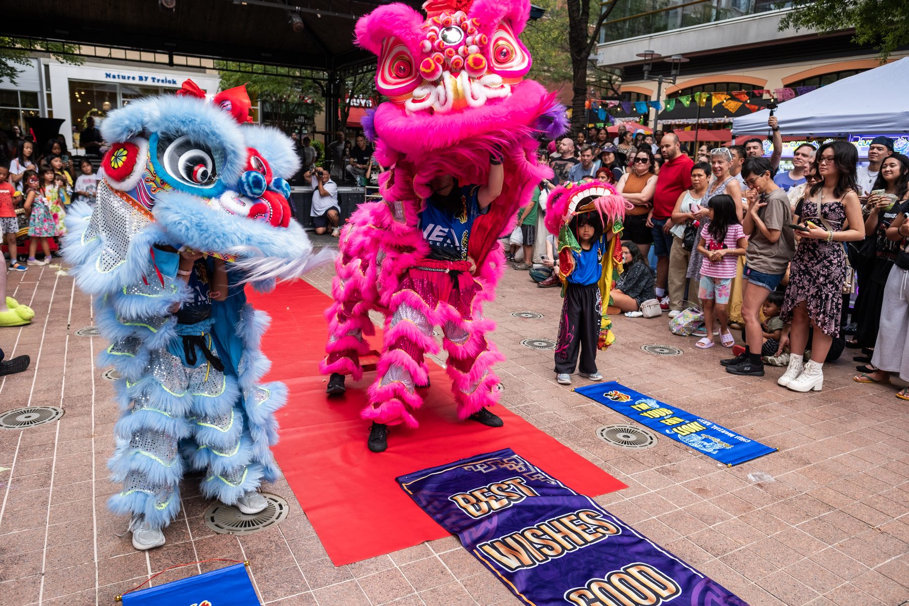 Pink and blue lion dancers on a red carpet at Tomodachi Food Fest in Rockville Town Square